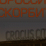 НОВОРОССИЙСК СКОРБИЛ ВМЕСТЕ СО ВСЕЙ РОССИЕЙ ПО ПОГИБШИМ В КРАСНОГОРСКЕ - Сетевое издание Официальный Новороссийск