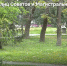55 711 новороссийцев уже сделали свой выбор за территорию, которая будет благоустроена благодаря нацпроекту «Инфраструктура для жизни» - Город-герой Новороcсийск