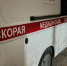 Главная картинка новости: Как работают поликлиники и больницы Новороссийска в новогодние праздники 2026: полный и понятный гид - GazetaNovoros.Ru