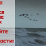 Опасная погода: на Кубани прогнозируют усиление ветра до 28 м/с - Сетевое издание Официальный Новороссийск