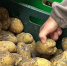 Что подешевело в Новороссийске за неделю: картофель, яйца, масло — цены на продукты - GazetaNovoros.Ru