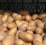 В Новороссийске социально значимые продукты подешевели за неделю - Ngnovoros.Ru