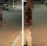 Новороссиец попал на видео, когда перекрашивал сплошную в прерывистую.: теперь ему грозит штраф до 10 тысяч - GazetaNovoros.Ru
