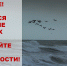 Внимание! Ожидается ухудшение погодных условий: сильный дождь с грозой, градом и ветром местами до 29 м/с - Город-герой Новороcсийск